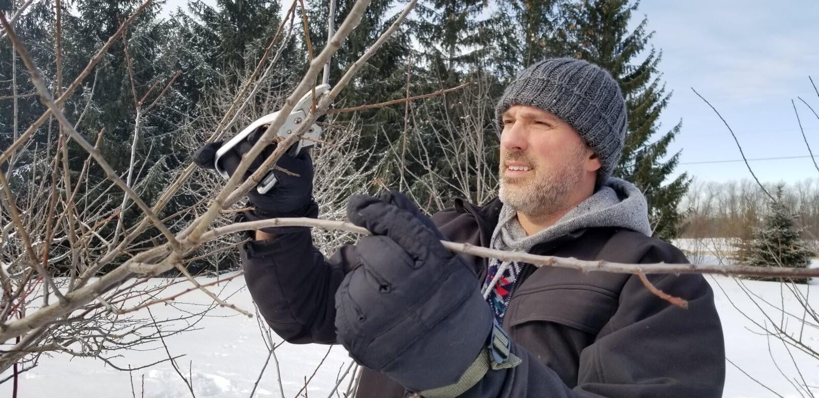 Tree Trimming Time